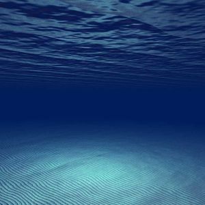 Meet your Posher, Alison